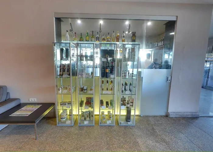 Hotel Moya Navalmoral De La Mata